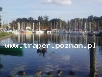 Węgorzewo to malownicze miasteczko w powiecie warmińsko - mazurskim, przy granicy z Obwodem Kaliningradzkim, nazywane przed wojną \