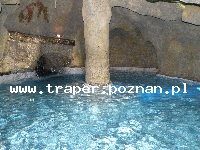 Hotele-Czechy-Liberec