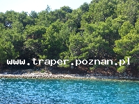 Wyspa Lastovo położona na południu Chorwacji w Dalmacji jest jedną z najbardziej oddalonych od stałego lądu i wśr&oacute;d najdalej na południe położonego archipelagu wysp. Z przyjemnym łag