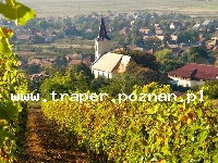 Tokaj to miasto położone w części p&oacute;łnocno-wschodniej Węgier,  u st&oacute;p Łysej G&oacute;ry (Kopasz-hegy), na zboczach kt&oacute;rej uprawiana jest winorośl. Tokaj jest stolicą znan