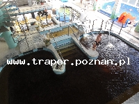 Hajduszoboszl&oacute; tutaj znajduje się największy w Europie kompleks wodny Hungarospa. Olbrzymie kąpielisko z wieloma basenami termalnymi, z falami, rekreacyjnymi, pływackimi, basenami leczniczy