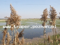 Kłodawa-Łęczyca-Uniej&oacute;w
