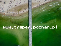 Kołobrzeg to miasto nadmorskie w p&oacute;łnocno - zachodniej Polsce w woj. zachodniopomorskim. Kołobrzeg jest r&oacute;wnież znanym polskim uzdrowiskiem.