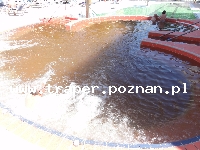 Spa-Węgry-Hajduszoboszló
