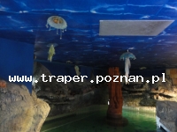 Hajduszoboszl&oacute; tutaj znajduje się największy w Europie kompleks wodny Hungarospa. Olbrzymie kąpielisko z wieloma basenami termalnymi, z falami, rekreacyjnymi, pływackimi, basenami leczniczy
