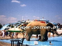 Wycieczki-Węgry-Hajduszoboszló