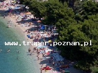 Podgora jest położona w południowej części Chorwacji, w Dalmacji, 10 km od Makarskiej. Znajduje się na Riwierze Makarskiej. Na turyst&oacute;w czekają malownicze plaże, krystalicznie czysta wo