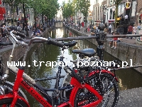 Amsterdam to miasto jest światową metropolią sztuki, kultury, mody i designu. Położony jest pośr&oacute;d setek kanał&oacute;w. Amsterdam ma tradycję miasta tolerancji. Szczeg&oacute;lnie pole