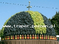 Wczasy-Węgry-Balatonboglar