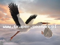 Sanatoria-Węgry-Harkany