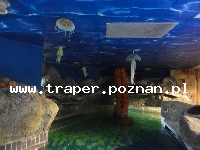 Hajduszoboszl&oacute; tutaj znajduje się największy w Europie kompleks wodny Hungarospa. Olbrzymie kąpielisko z wieloma basenami termalnymi, z falami, rekreacyjnymi, pływackimi, basenami leczniczy