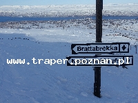 Akureyri to największe miasto na p&oacute;łnocy Islandii i r&oacute;wnocześnie drugie na wyspie. Piękne położone na zboczu i w głębi fiordu dostarcza niesamowitych wrażeń. Dobra komunikacja 